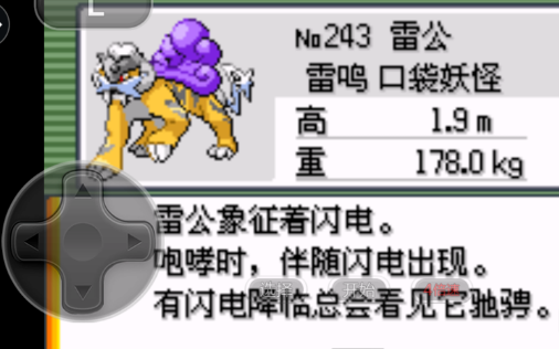 漆黑的魅影