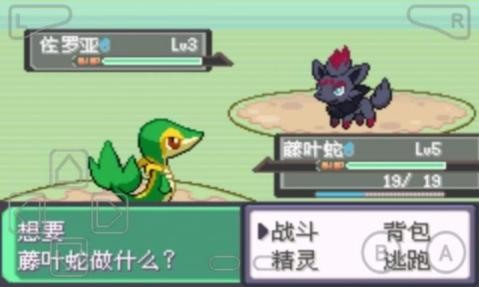 漆黑的魅影