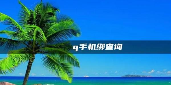 社工库q绑查询