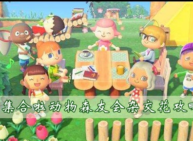 集合啦动物森友会杂交花朵教程  集合啦动物森友会花朵的杂交排列汇总