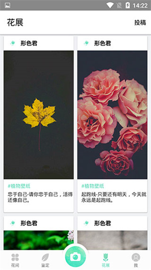 形色植物识别