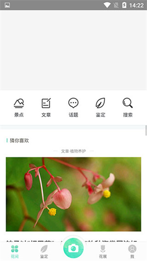 形色植物识别