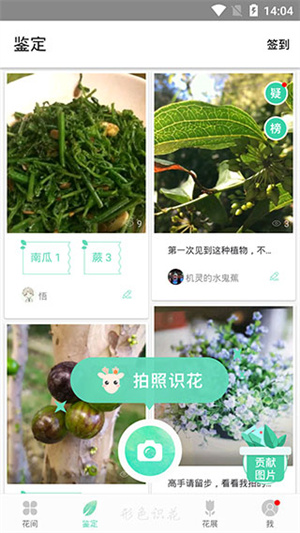 形色植物识别