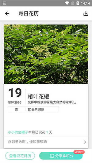 形色植物识别