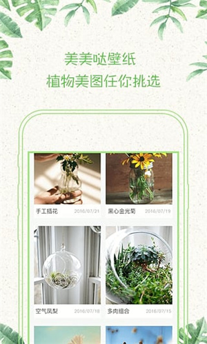形色植物识别
