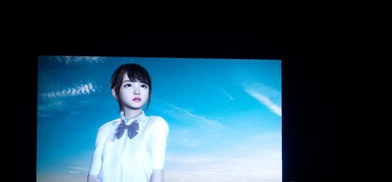 摄影师模拟游戏怎么玩 摄影师模拟游戏玩法详解