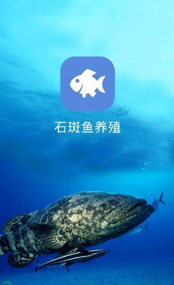 石斑鱼养殖