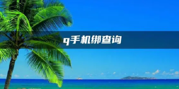 q绑查询工具
