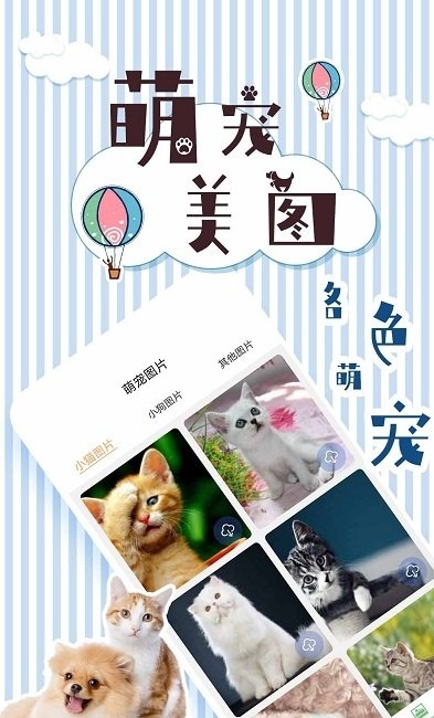 宠物翻译交流器