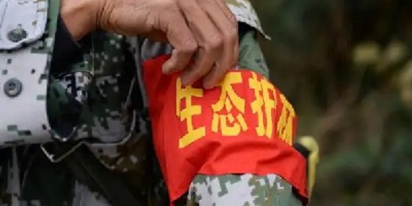 生态护林员