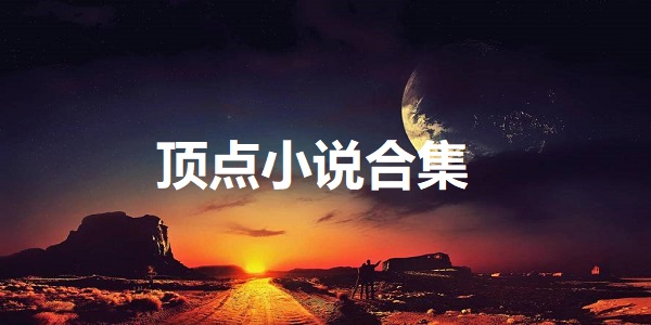 顶点小说