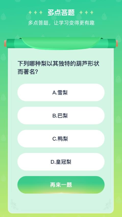 梨多点