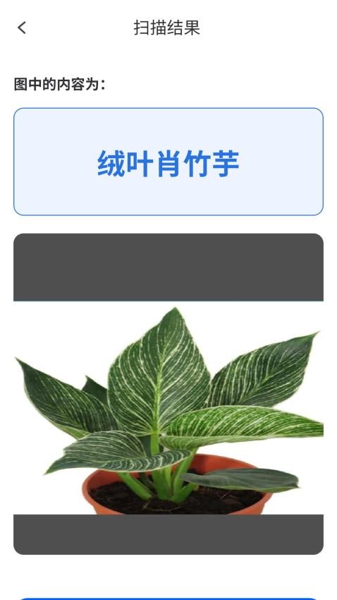 轻松识图