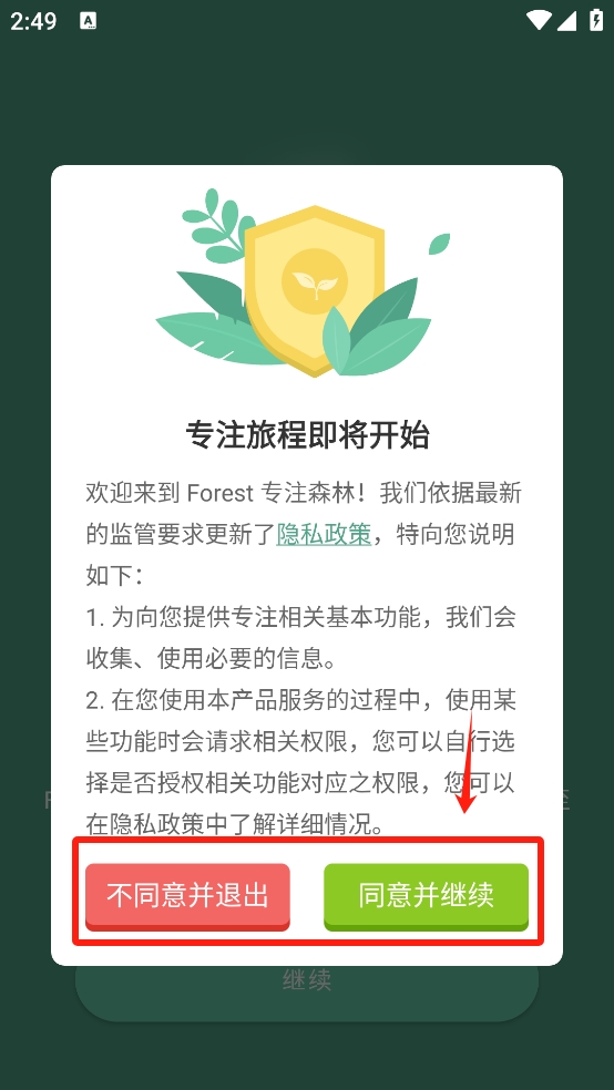 专注森林