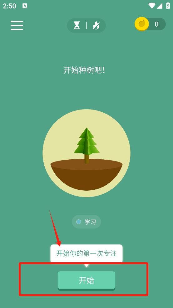 专注森林