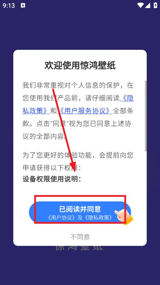 惊鸿壁纸
