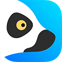 lemur browser