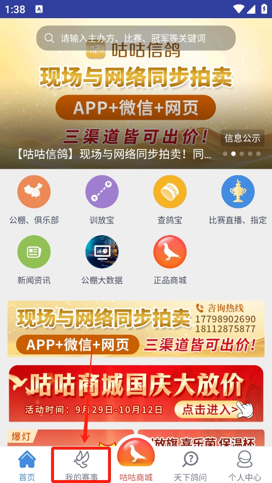 咕咕信鸽