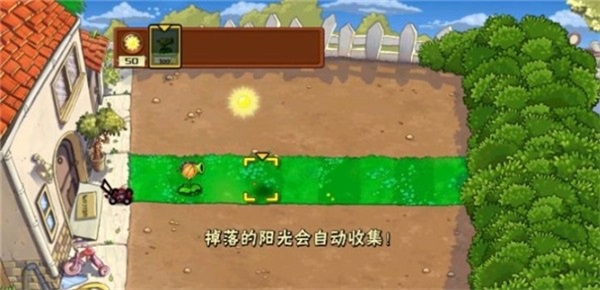 植物大战僵尸蔡徐坤版