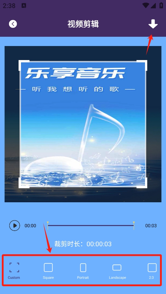 新闪电龟
