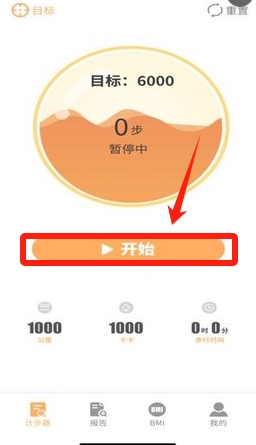 锦鲤快步