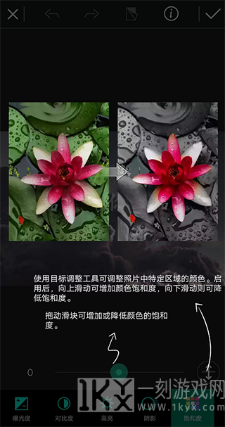 相片大师app