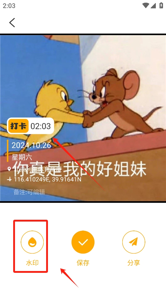 蜜蜂水印相机