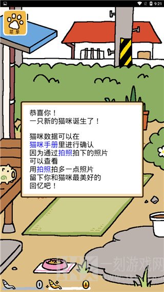 猫咪后院2