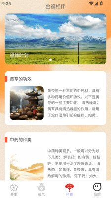 金福相伴