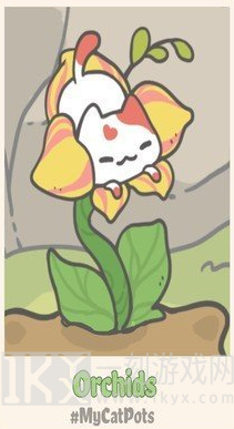 我的猫盆栽最新版