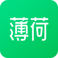 薄荷健康最新版本
