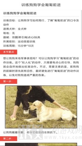 动物对话翻译器