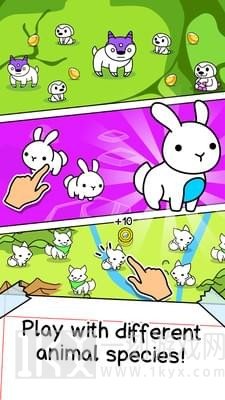 星系进化游戏