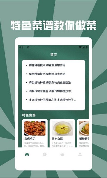 慢吞吞轻断食