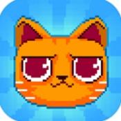 疯狂破坏猫