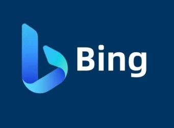 Bing国内版入口 官方直达全指南