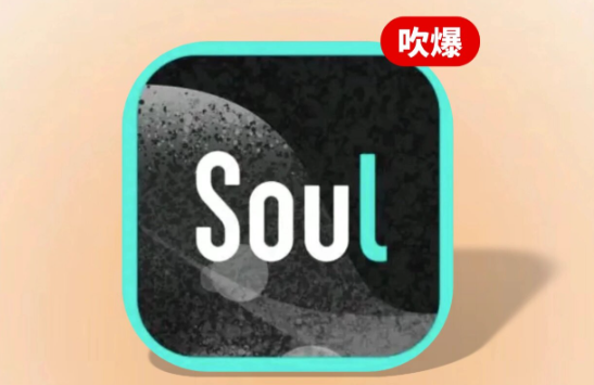 soul什么意思 soul是什么软件